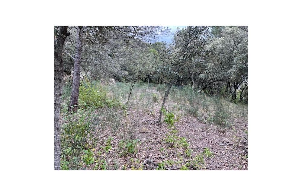 Vente terrain LA BASTIDONNE Vaucluse