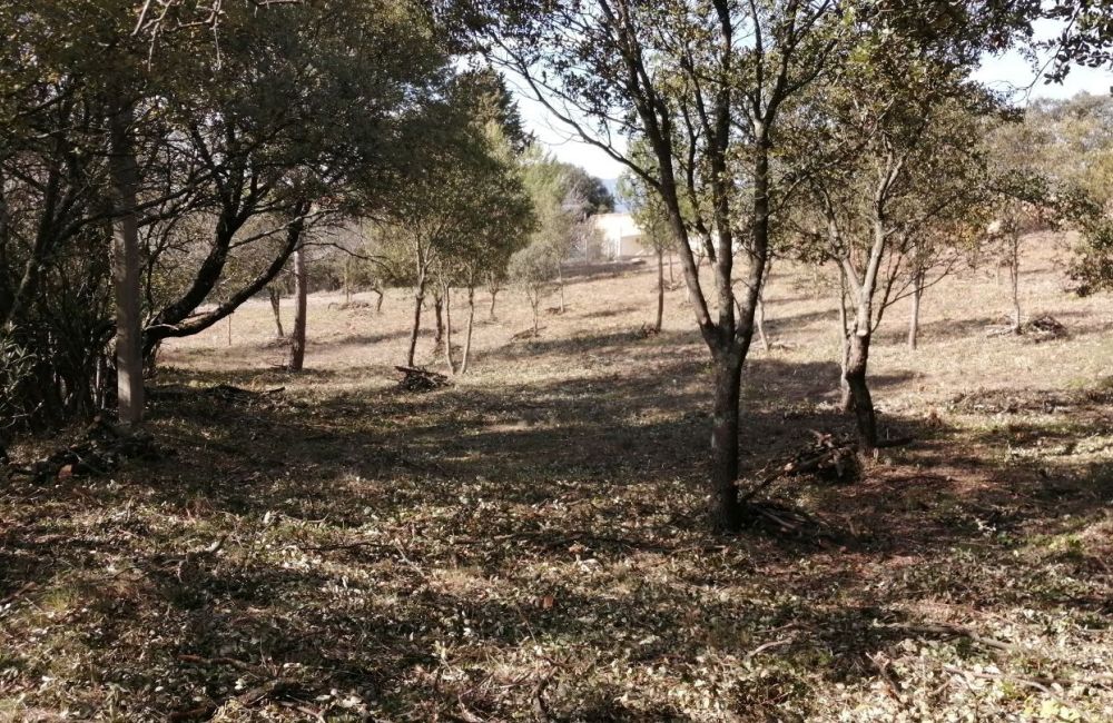 Vente terrain LA BASTIDONNE Vaucluse