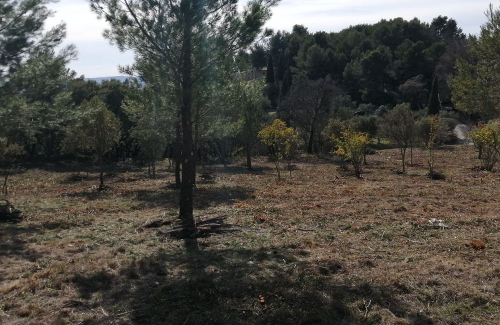 Vente terrain LA BASTIDONNE Vaucluse