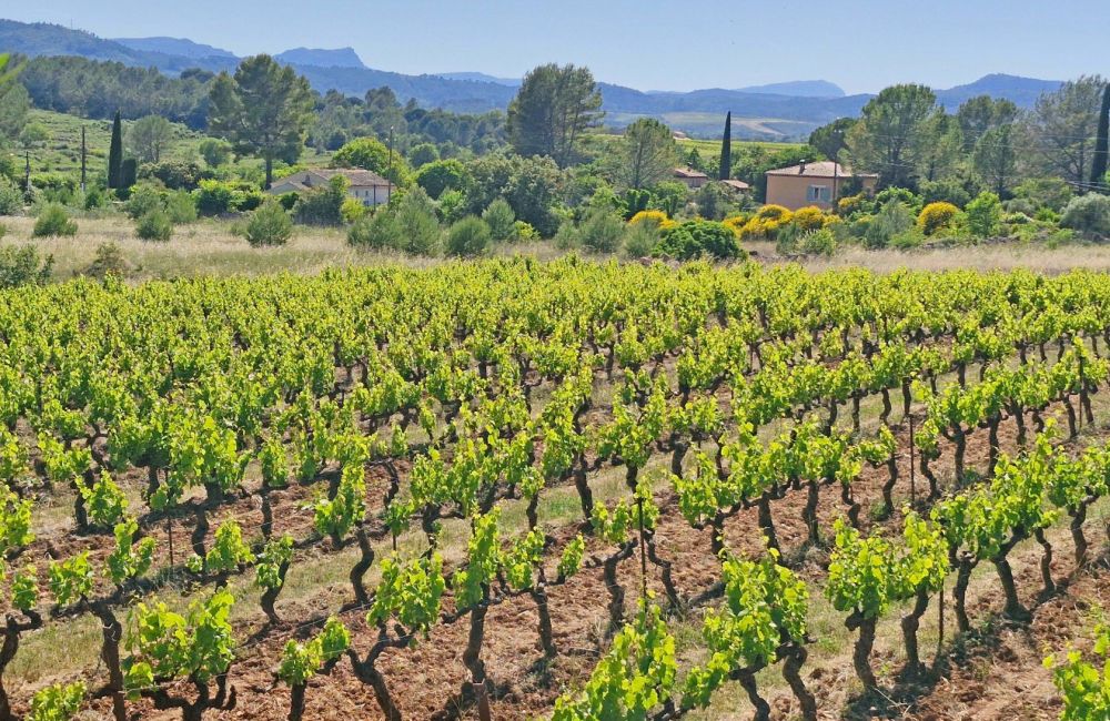 Vente terrain CARCES Var
