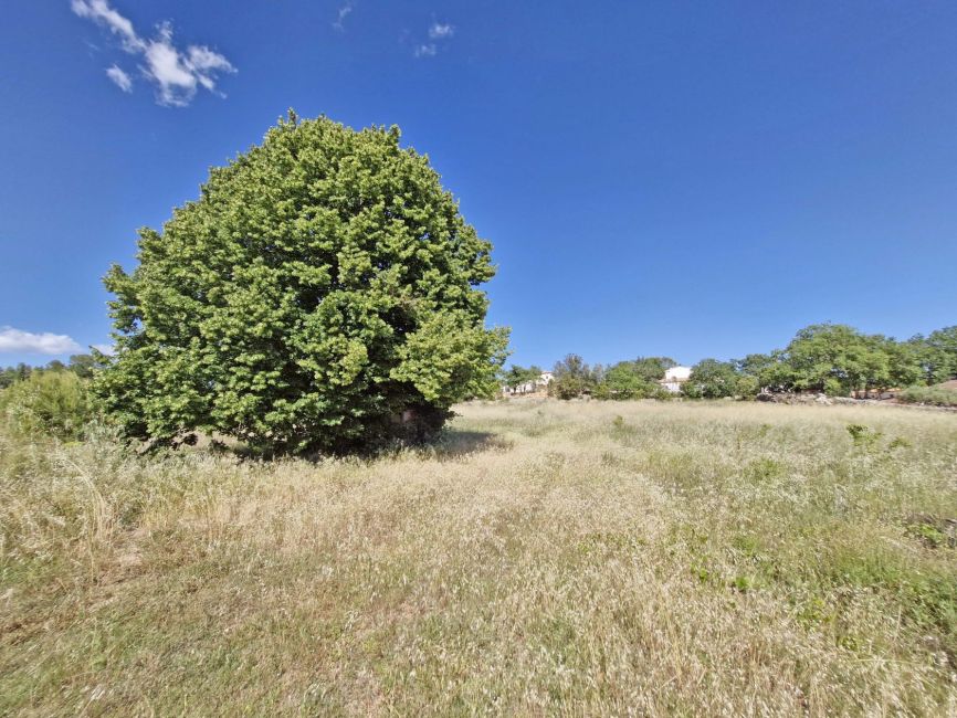 Vente terrain SAINT-ANTONIN-DU-VAR Var