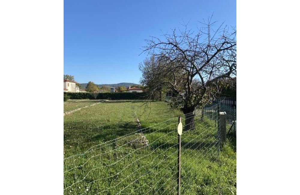 Vente terrain SAINT-CEZAIRE-SUR-SIAGNE Alpes-Maritimes