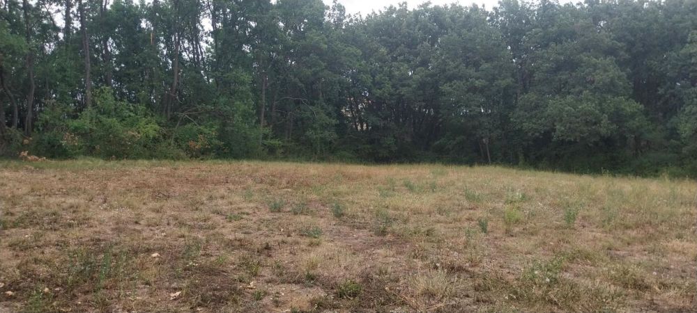 Vente terrain MALLEMOISSON Alpes-de-Haute-Provence