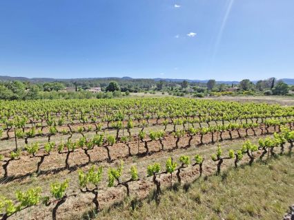 Vente terrain CARCES Var