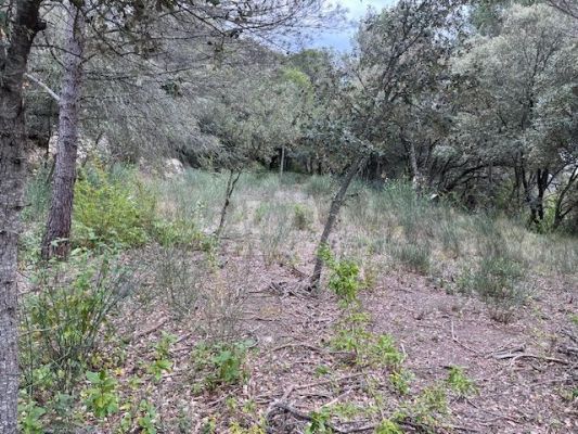 Vente terrain LA BASTIDONNE Vaucluse