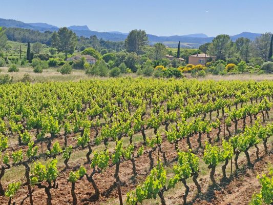 Vente terrain CARCES Var