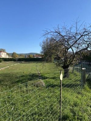Vente terrain SAINT-CEZAIRE-SUR-SIAGNE Alpes-Maritimes