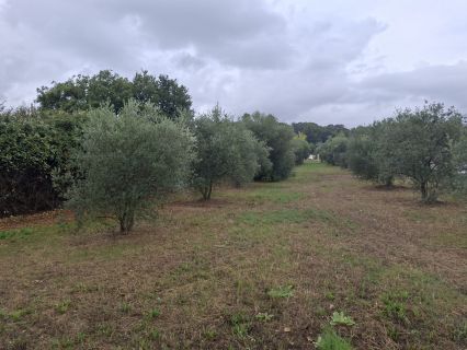 Vente terrain LA MOTTE-D'AIGUES Vaucluse