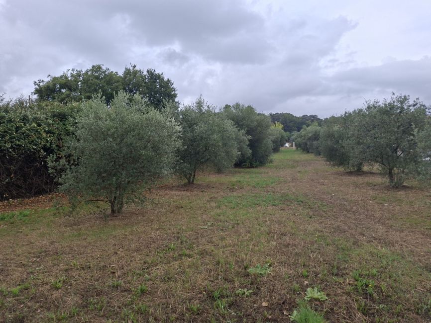 Vente terrain LA MOTTE-D'AIGUES Vaucluse