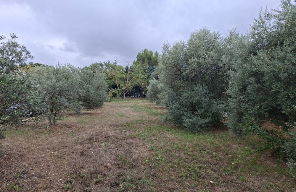 Vente terrain LA MOTTE-D'AIGUES Vaucluse