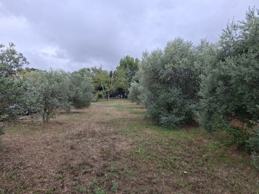 Vente terrain LA MOTTE-D'AIGUES Vaucluse