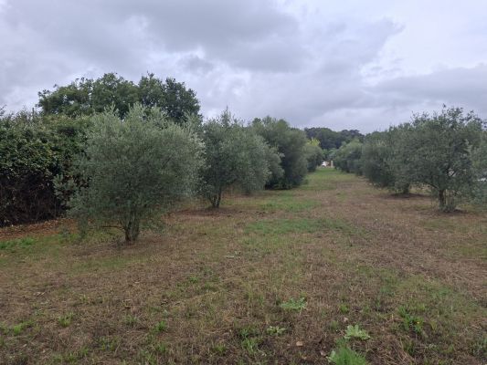 Vente terrain LA MOTTE-D'AIGUES Vaucluse