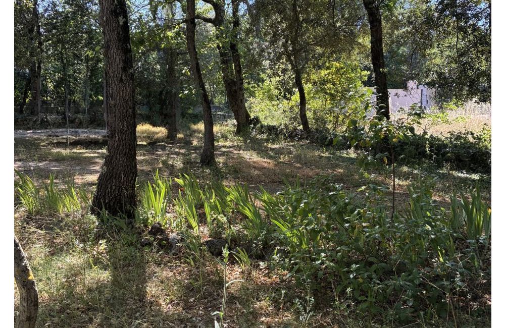 Vente terrain + maison GAREOULT Var