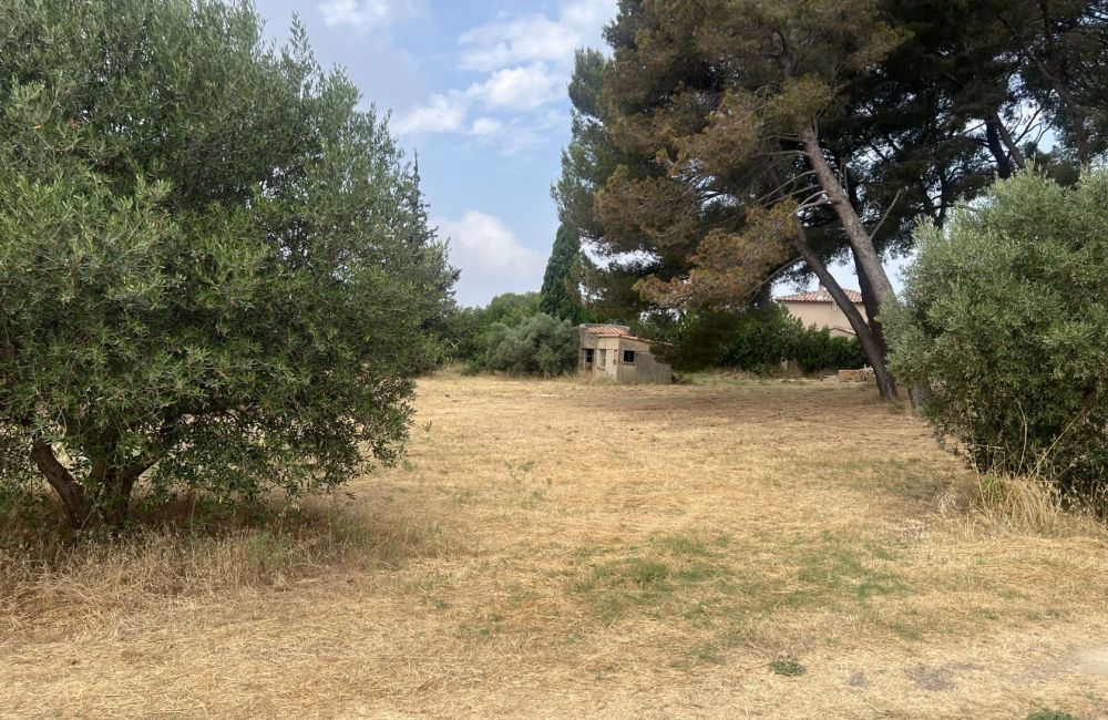 Vente terrain + maison SAINT-CHAMAS Bouches-du-Rhône