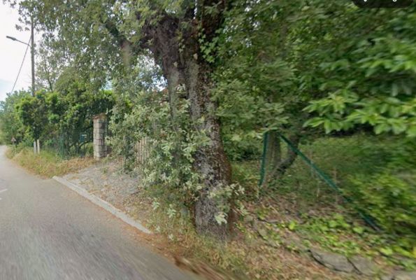 Vente terrain LA GAUDE Alpes-Maritimes