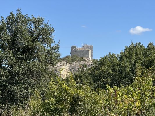 Vente terrain VAISON-LA-ROMAINE Vaucluse