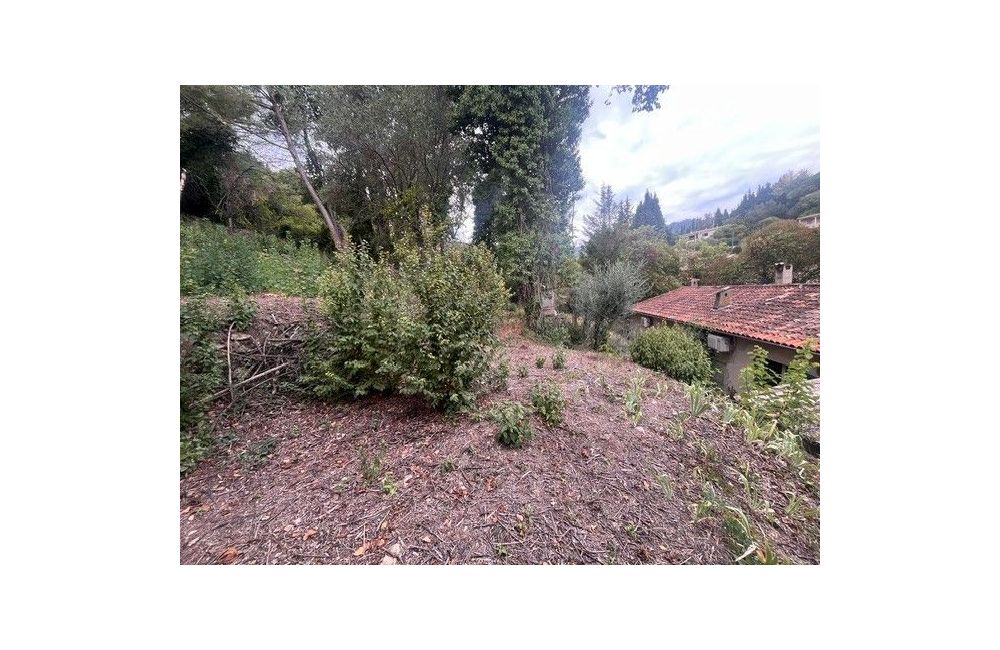 Vente terrain GRASSE Alpes-Maritimes
