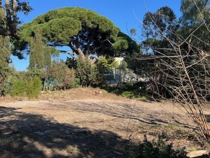 Vente terrain CANNES Alpes-Maritimes
