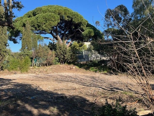 Vente terrain CANNES Alpes-Maritimes