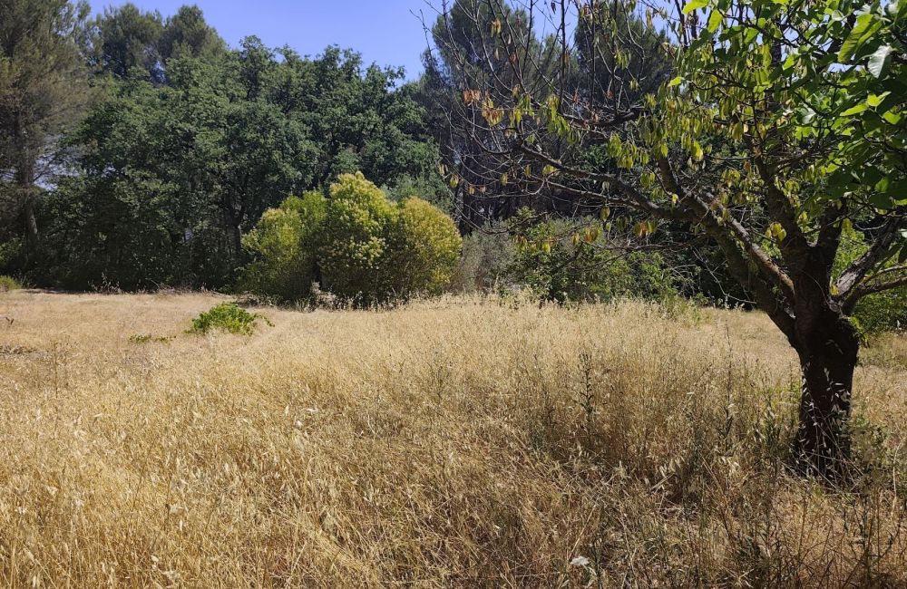 Vente terrain EGUILLES Bouches-du-Rhône