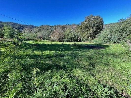 Vente terrain PEGOMAS Alpes-Maritimes