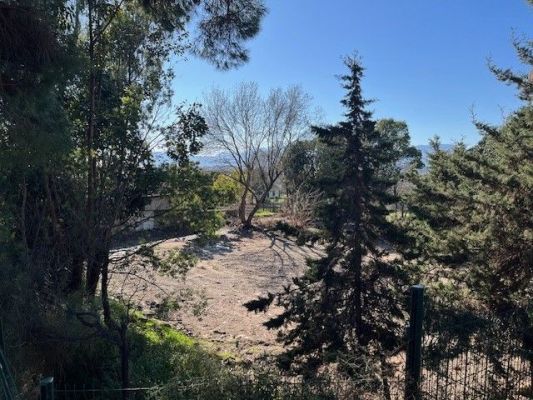 Vente terrain CANNES Alpes-Maritimes