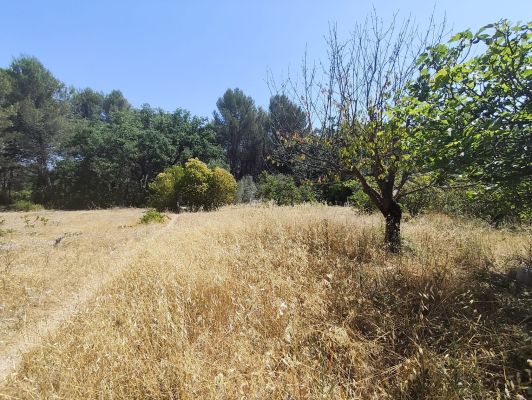 Vente terrain EGUILLES Bouches-du-Rhône