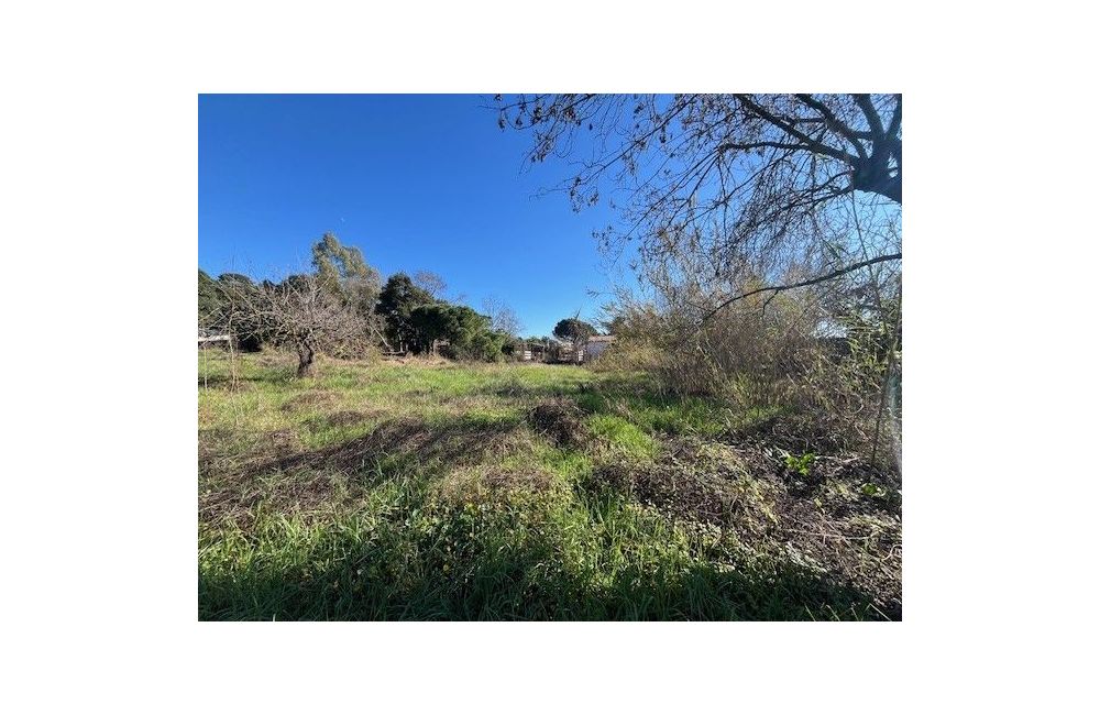 Vente terrain CANNES Alpes-Maritimes