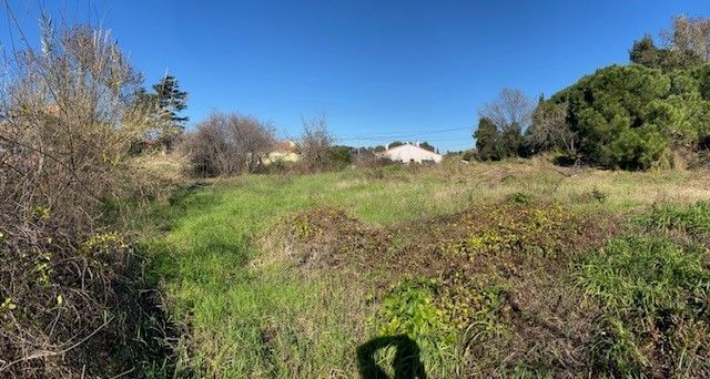 Vente terrain CANNES Alpes-Maritimes